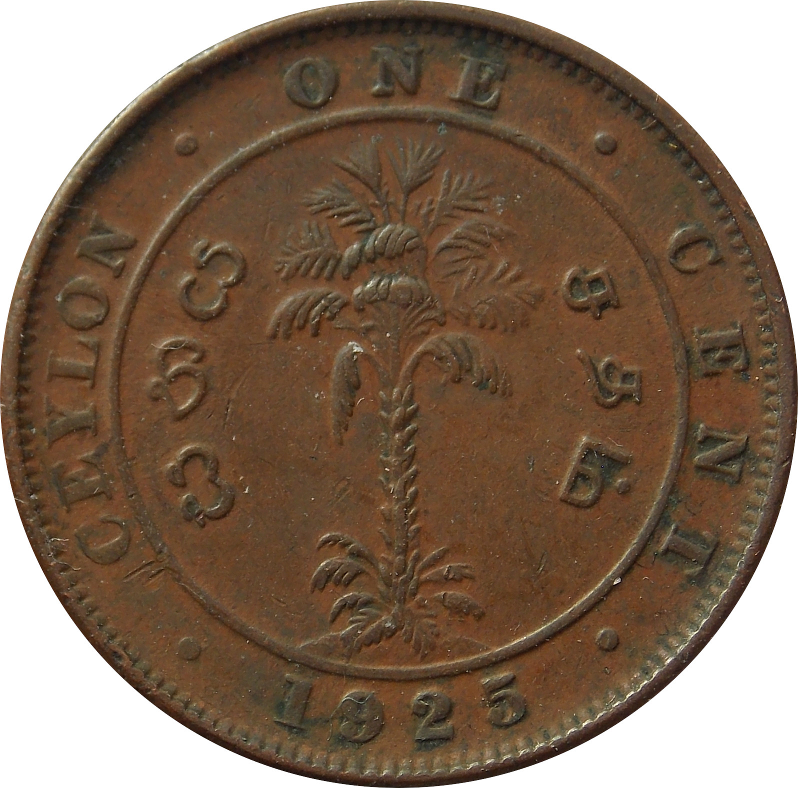 Cejlón 1 Cent 1925