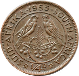 Južná Afrika 1/4 Penny 1955